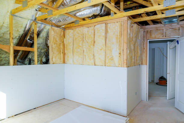 Best Cellulose Insulation in Rincon Valley, AZ