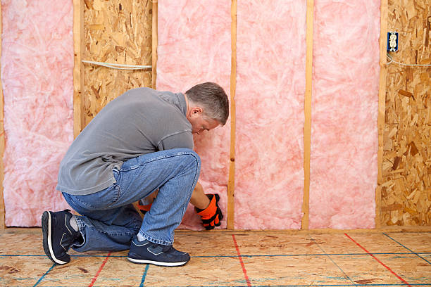Best Residential Insulation in Rincon Valley, AZ