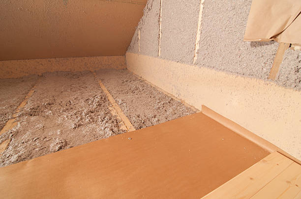 Best Eco-Friendly Insulation in Rincon Valley, AZ