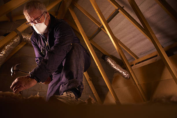 Best Fiberglass Insulation in Rincon Valley, AZ